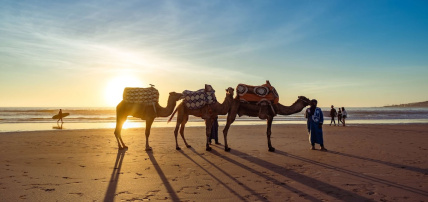 Hôtel Radisson Blu Resort Taghazout Bay Surf Village 4*, Séjour Maroc, Agadir par Ôvoyages Hôtel Radisson Blu Resort Taghazout Bay Surf Village 4*, Séjour Maroc, Agadir par Ôvoyages