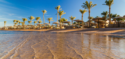 Hôtel Amphoras Aqua 4* Adult Only + 12, Séjour Egypte, Sharm El Sheikh par Ôvoyages Hôtel Amphoras Aqua 4* Adult Only + 12, Séjour Egypte, Sharm El Sheikh par Ôvoyages