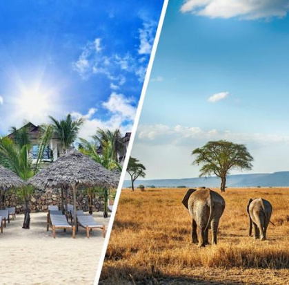 Combiné Ôclub Zen Sansi Kendwa Beach Resort 4* & Safari 3 nuits en avion, Séjour Tanzanie, Zanzibar par Ôvoyages Combiné Ôclub Zen Sansi Kendwa Beach Resort 4* & Safari 3 nuits en avion, Séjour Tanzanie, Zanzibar par Ôvoyages