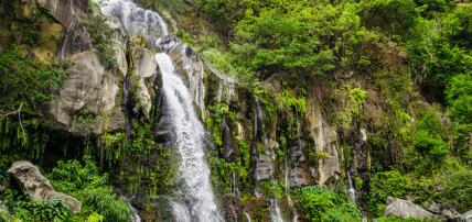 Combiné Le Récif 3* & Iloha Seaview Hôtel 3*, Combiné Réunion par Ôvoyages Combiné Le Récif 3* & Iloha Seaview Hôtel 3*, Combiné Réunion par Ôvoyages