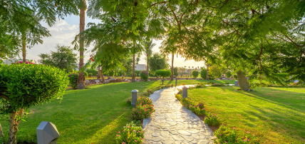 Hôtel Aurora Oriental Resort 5*, Séjour Egypte, Sharm El Sheikh par Ôvoyages Hôtel Aurora Oriental Resort 5*, Séjour Egypte, Sharm El Sheikh par Ôvoyages