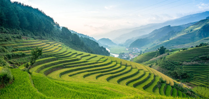 Combiné Bangkok & Phuket : Centara Life Phra Nakhon 4* & Centara Kata Resort Phuket 4*, Combiné Thaïlande, Bangkok par Ôvoyages Combiné Bangkok & Phuket : Centara Life Phra Nakhon 4* & Centara Kata Resort Phuket 4*, Combiné Thaïlande, Bangkok par Ôvoyages