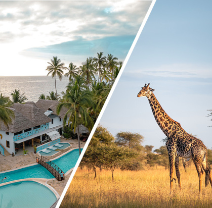 Combiné Jaz Adonia Beach Resort 4* & Safari 2 nuits dans la réserve de Selous en avion, Séjour Tanzanie, Zanzibar par Ôvoyages Combiné Jaz Adonia Beach Resort 4* & Safari 2 nuits dans la réserve de Selous en avion, Séjour Tanzanie, Zanzibar par Ôvoyages