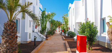 Hôtel Arena Beach 3*, Séjour Espagne & ses îles, Canaries, Fuerteventura par Ôvoyages Hôtel Arena Beach 3*, Séjour Espagne & ses îles, Canaries, Fuerteventura par Ôvoyages