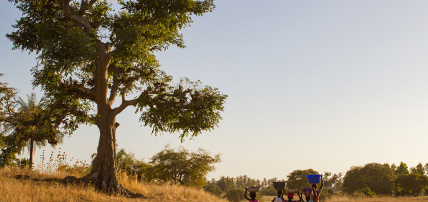 Circuit Balade Sénégalaise 3*, Circuit Sénégal par Ôvoyages Circuit Balade Sénégalaise 3*, Circuit Sénégal par Ôvoyages