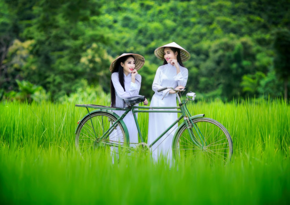 Ôcircuit Essentiel - Découverte du Nord au Sud Vietnam 4*/5* Ôcircuit Essentiel - Découverte du Nord au Sud Vietnam 4*/5* - photo 1