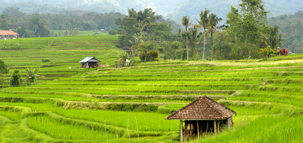 Ôcircuit Essentiel - Irrésistible Bali 3*/4*, Circuit Indonésie, Bali par Ôvoyages Ôcircuit Essentiel - Irrésistible Bali 3*/4*, Circuit Indonésie, Bali par Ôvoyages