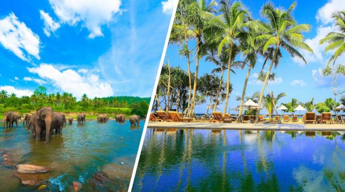 Combiné Balade Sri Lankaise privative 4* & Ôclub Experience Pandanus Beach Resort & Spa 5*, Circuit Sri Lanka par Ôvoyages Combiné Balade Sri Lankaise privative 4* & Ôclub Experience Pandanus Beach Resort & Spa 5*, Circuit Sri Lanka par Ôvoyages