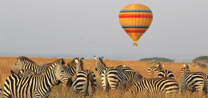 Ôcircuit Evasion - Safari Kenya, Masai Mara & plage en Ôclub 4*, Circuit Kenya par Ôvoyages Ôcircuit Evasion - Safari Kenya, Masai Mara & plage en Ôclub 4*, Circuit Kenya par Ôvoyages