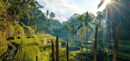 Ôcombiné - Bali, d'Ubud à Seminyak en villa piscine privée 4*, Combiné Indonésie, Bali par Ôvoyages Ôcombiné - Bali, d'Ubud à Seminyak en villa piscine privée 4*, Combiné Indonésie, Bali par Ôvoyages