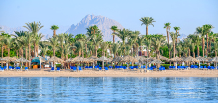 Hôtel Jaz Sharm Dreams 5*, Séjour Egypte, Sharm El Sheikh par Ôvoyages Hôtel Jaz Sharm Dreams 5*, Séjour Egypte, Sharm El Sheikh par Ôvoyages