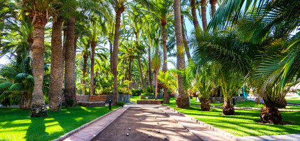 Hôtel Seaside Palm Beach 5*, Séjour Espagne & ses îles, Canaries, Grande Canarie par Ôvoyages Hôtel Seaside Palm Beach 5*, Séjour Espagne & ses îles, Canaries, Grande Canarie par Ôvoyages