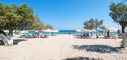 Hôtel Tigaki Beach 4*, Séjour Grèce & ses îles, Kos par Ôvoyages Hôtel Tigaki Beach 4*, Séjour Grèce & ses îles, Kos par Ôvoyages