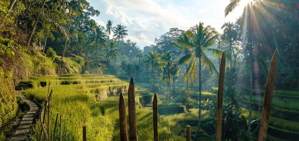 Combiné Hôtel Ubud 5* & Oclub Select Merusaka Nusa Dua 5*, Circuit Indonésie, Bali par Ôvoyages Combiné Hôtel Ubud 5* & Oclub Select Merusaka Nusa Dua 5*, Circuit Indonésie, Bali par Ôvoyages