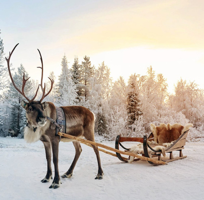 Hôtel Suomutunturi (activités incluses), Séjour Finlande, Laponie par Ôvoyages Hôtel Suomutunturi (activités incluses), Séjour Finlande, Laponie par Ôvoyages